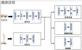 猪肉溯源系统软件设计与开发解决方案 构筑食品安全数字防线